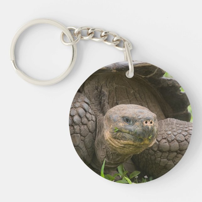 Riesenschildkröte Schlüsselanhänger (Vorderseite)