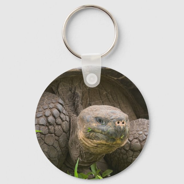 Riesenschildkröte Schlüsselanhänger (Vorderseite)