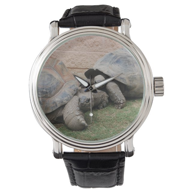 Riesenschildkröten Armbanduhr (Vorderseite)