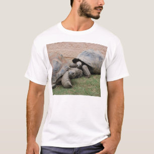 Riesenschildkröten T-Shirt