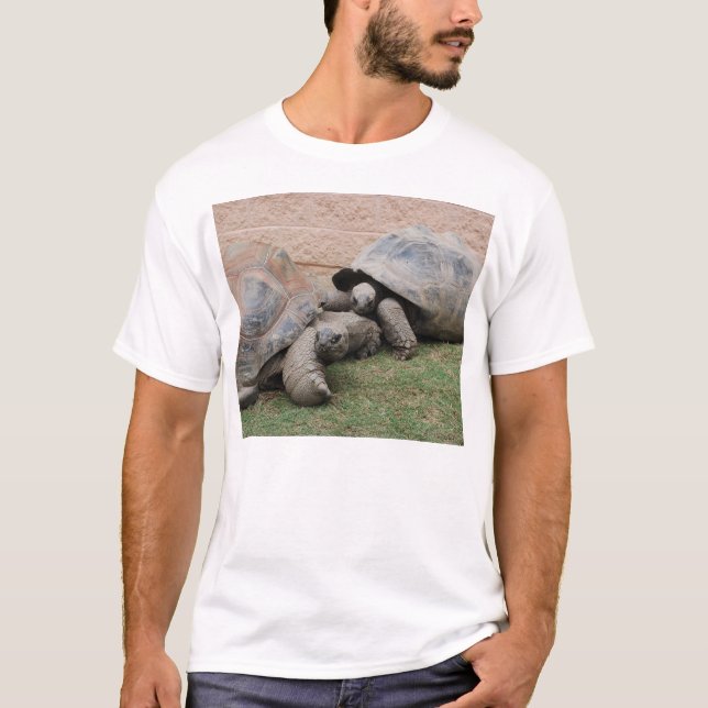 Riesenschildkröten T-Shirt (Vorderseite)