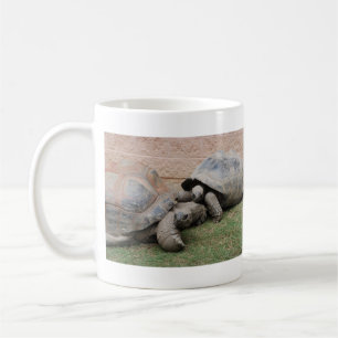 Riesenschildkröten Tasse