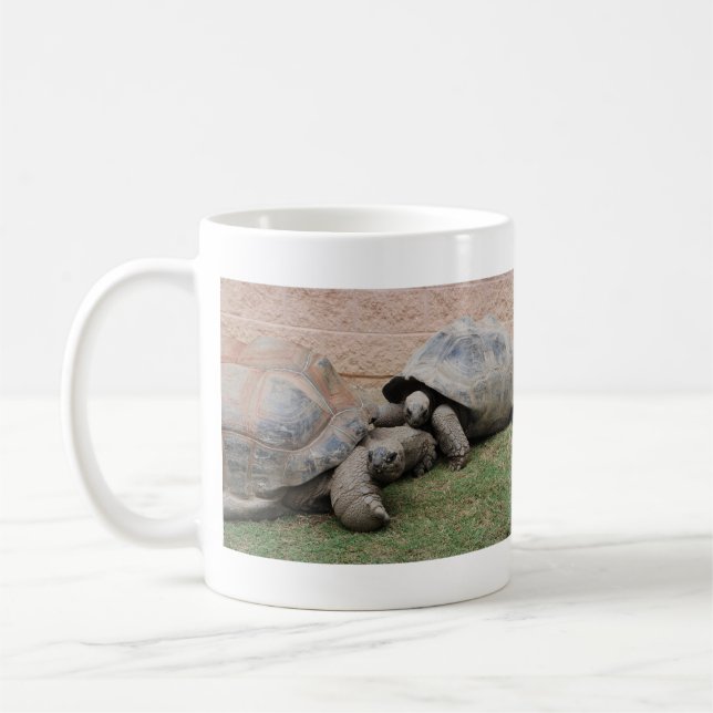 Riesenschildkröten Tasse (Links)