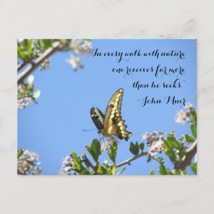 Riesenschmetterling mit John Muir Zitat Postkarte