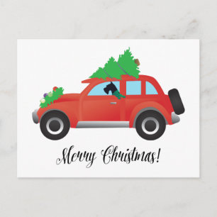 Riesenschnauzer Autofahren - Baum oben Postkarte