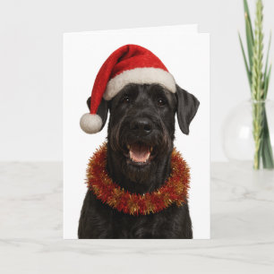 Riesenschnauzer in einem Weihnachtsmannhut Weihnac Karte