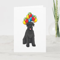 Riesenschnauzer mit Ballon