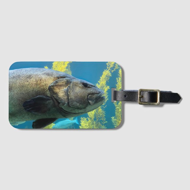 Riesenseebass Gepäckanhänger (Vorderseite (Horizontal))