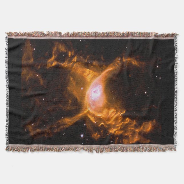 Riesenspinne | Spinnen Lovers Gift Decke (Vorderseite)