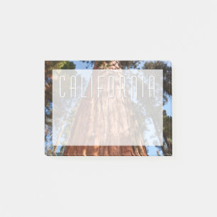 Riesenspinner Post-it Klebezettel