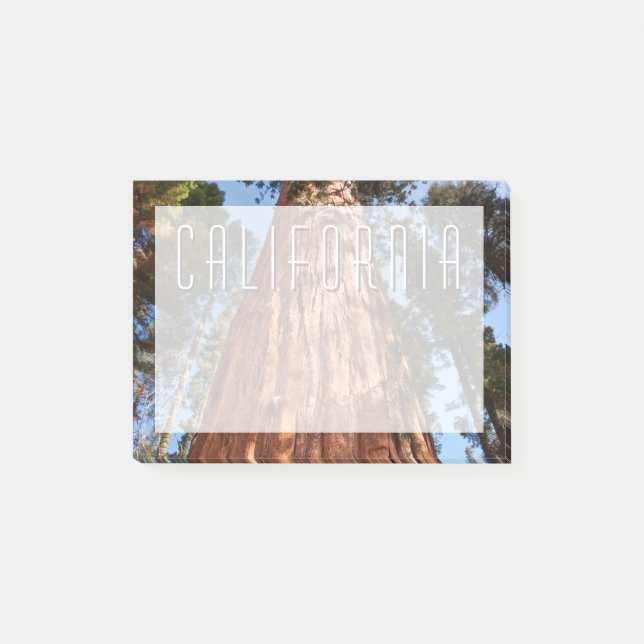 Riesenspinner Post-it Klebezettel (Vorderseite)