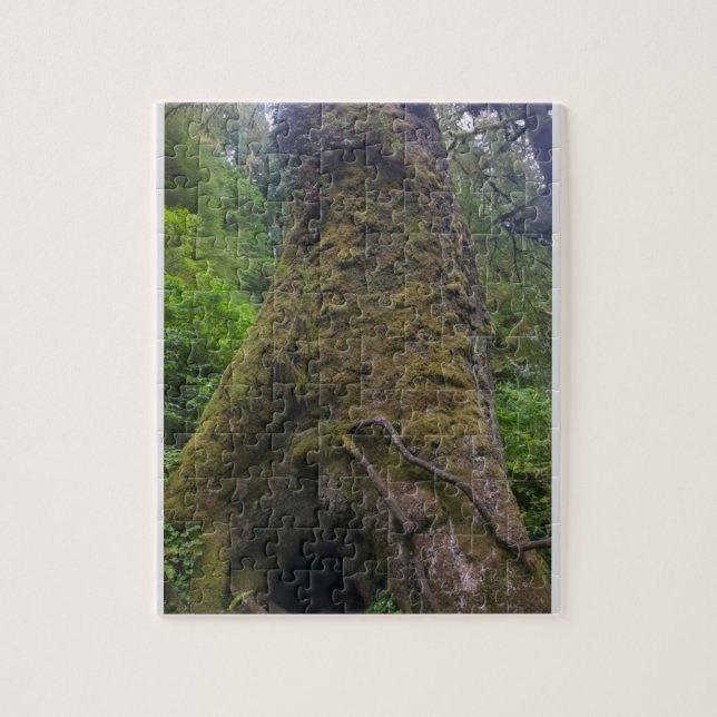Riesenspruce, Cape Perpetua, Oregon Puzzle (Vertikal)