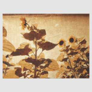 RiesenVintage Sonnenblumen Sepia Seidenpapier