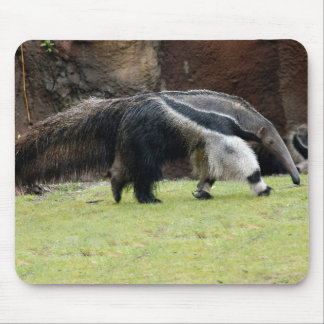 Riesige Ameise Eater8x10 Mousepad