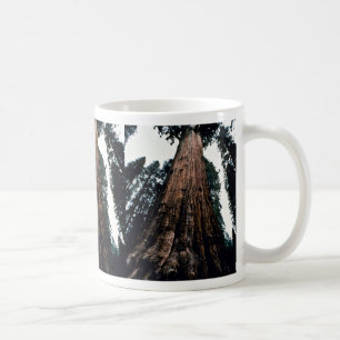Riesige Bäume - Mammutbaum-Nationalpark Tasse