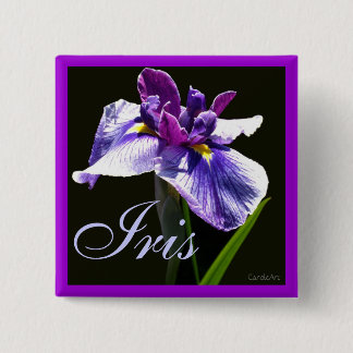 Riesige blaue lila Iris Button