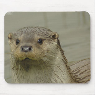 Riesige Fluss-Otter-Mausunterlage Mousepad