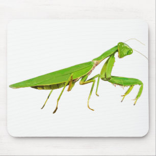 Riesige grüne betender Mantis-Mausunterlage Mousepad