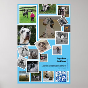 Riesige Hundehütte-Aktion Poster