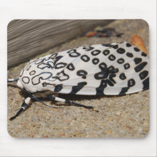 Riesige Leopard-Motte Mousepad