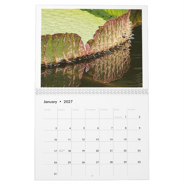 Riesige Lilien-Auflagen 2013 Kalender (Jan 2027)