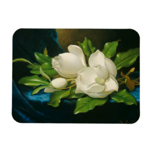 Riesige Magnolien auf einem blauen Samt-Stoff, Magnet