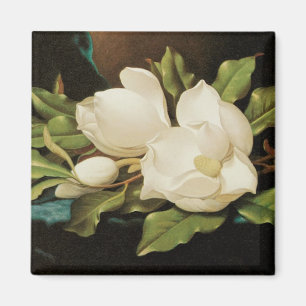 Riesige Magnolien auf einem blauen Samttuch von MJ Magnet