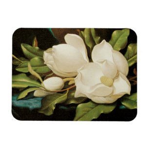 Riesige Magnolien auf einem blauen Samttuch von MJ Magnet