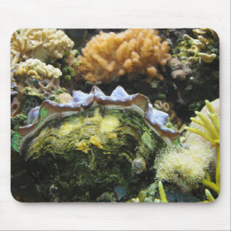 Riesige Muschel Mousepad