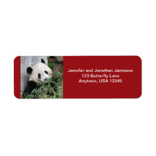 Riesige Panda-dunkelroter