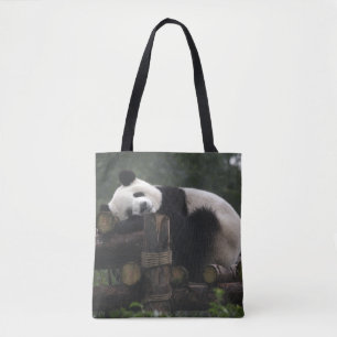 Riesige Pandas im Schutzgebiet für Riesenpandas