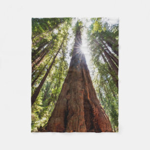 Riesige Redwoods Fleecedecke