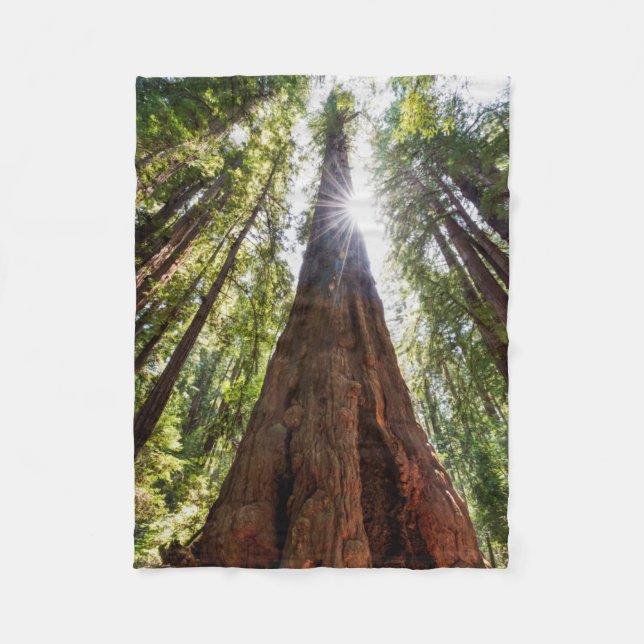 Riesige Redwoods Fleecedecke (Vorderseite)