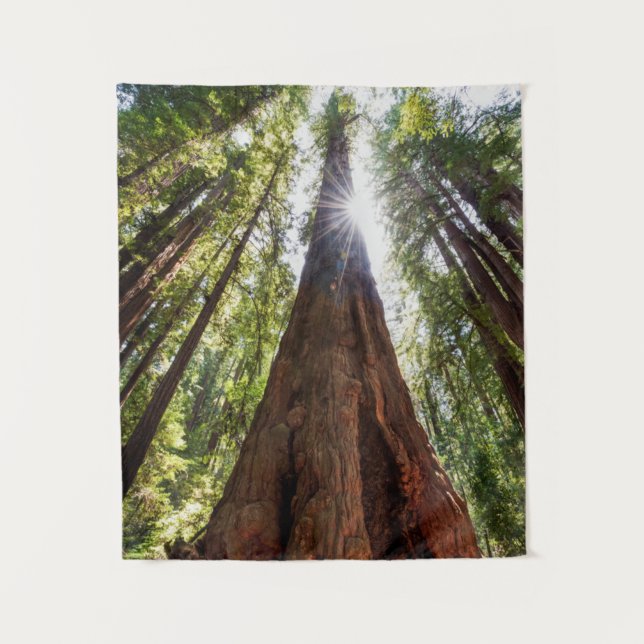 Riesige Redwoods Wandteppich (Vorderseite)