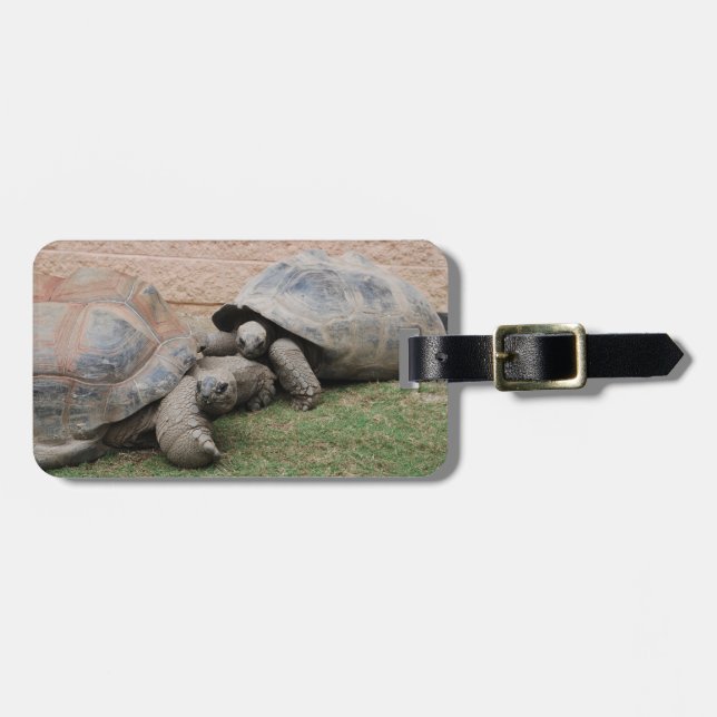 riesige Schildkröten Gepäckanhänger (Vorderseite horizontal)