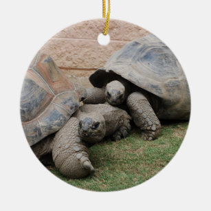 riesige Schildkröten Keramik Ornament