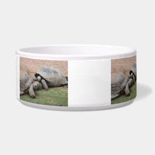 riesige Schildkröten Napf