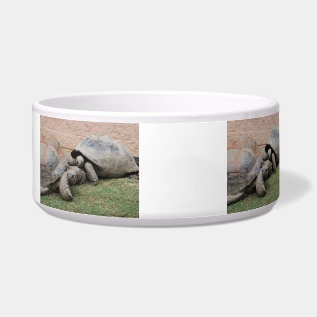 riesige Schildkröten Napf (Links)