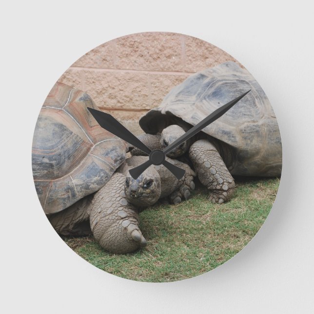 riesige Schildkröten Runde Wanduhr (Vorderseite)