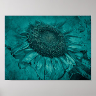 Riesige Sonnenblume Türkis Blau Vintage Antik Poster