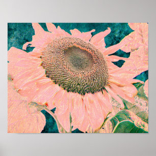 Riesige Sonnenblume Vintage Rosa Grüne Landkunst Poster