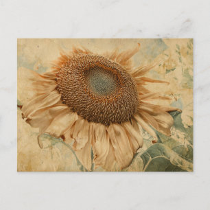 Riesige Sonnenblumen Gelbe Alte Vintage-Decoupage- Postkarte