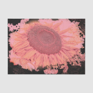 Riesige Sonnenblumen Vintage Rosa Orange Vignette Seidenpapier