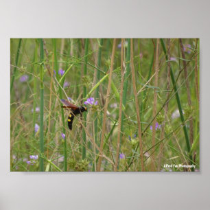 Riesige Wespe im Flug Poster