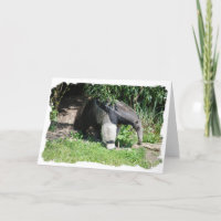 Riesiger Anteater-Gruß-Karte