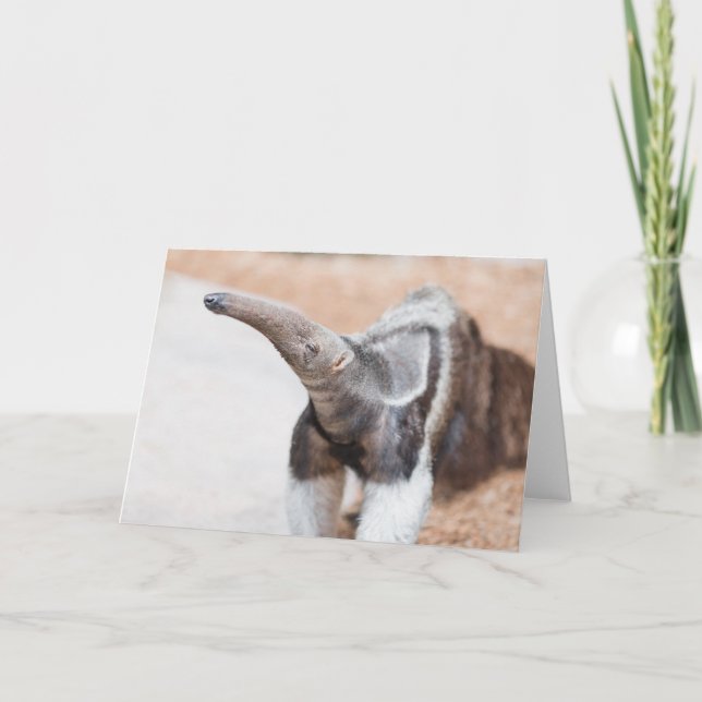 Riesiger Anteater Karte (Vorderseite)