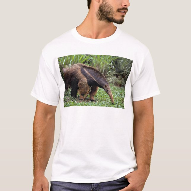 Riesiger Anteater (Myrmecophaga tridactyla) T-Shirt (Vorderseite)
