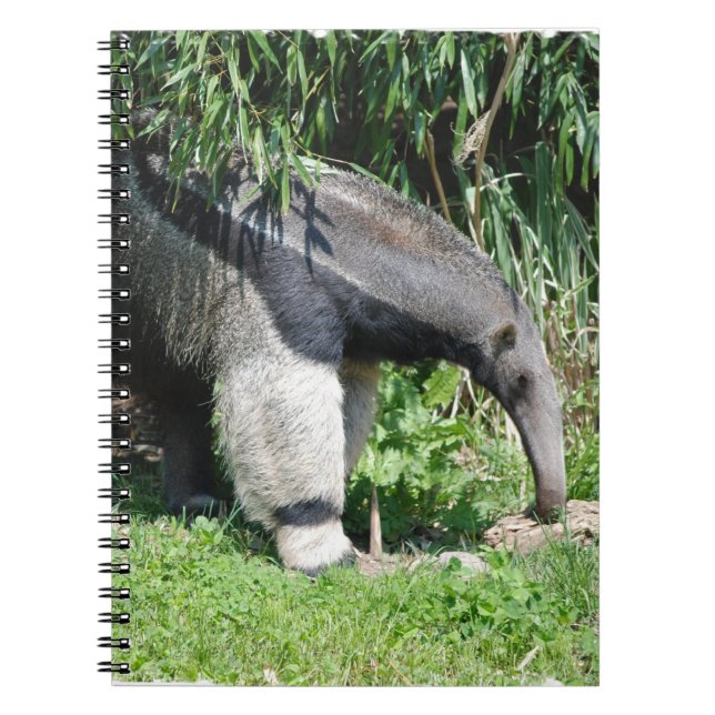 Riesiger Anteater-Notizbuch Notizblock (Vorderseite)