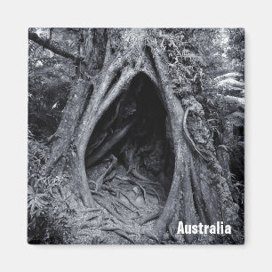 Riesiger Baum, Baum Hugger, Australien Magnet
