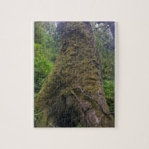 Riesiger Fichtenbaum, Cape Perpetua, Oregon Puzzle